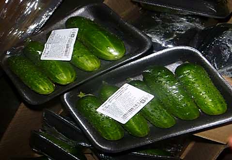 Как проверять качество корнишонов при приёмке - фасовка