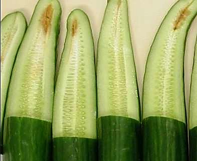 Как проверять качество длинноплодных огурцов при приёмке - разрез