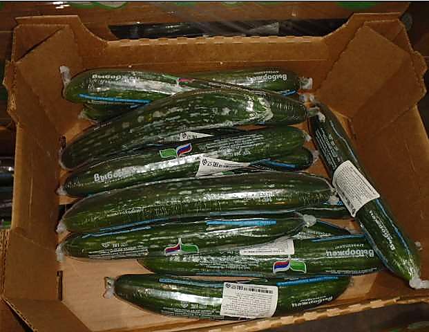 Как проверять качество длинноплодных огурцов при приёмке - фасовка