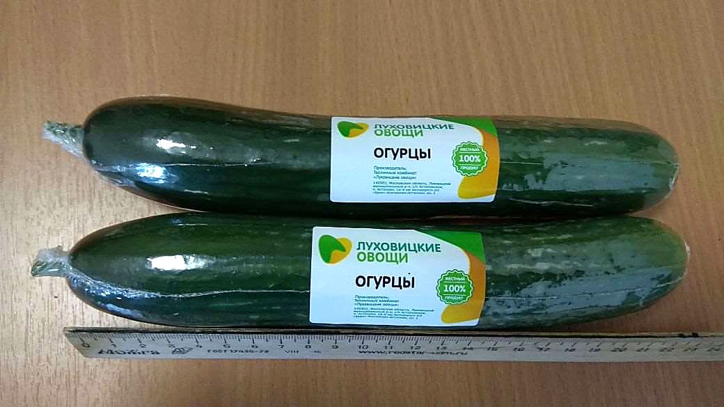 Как проверять качество луховицких длинных огурцов при приёмке - разрез