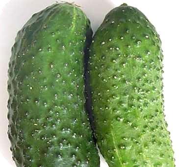 Как проверять качество среднеплодных колючих огурцов при приёмке - норма