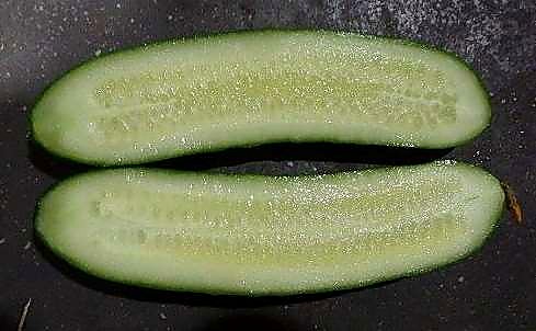 Как проверять качество среднеплодных гладких огурцов при приёмке - разрез