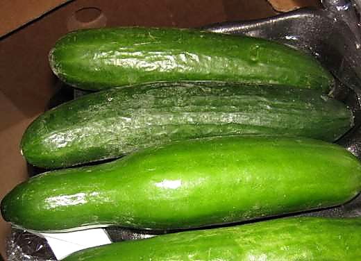 Как проверять качество среднеплодных гладких огурцов при приёмке - норма
