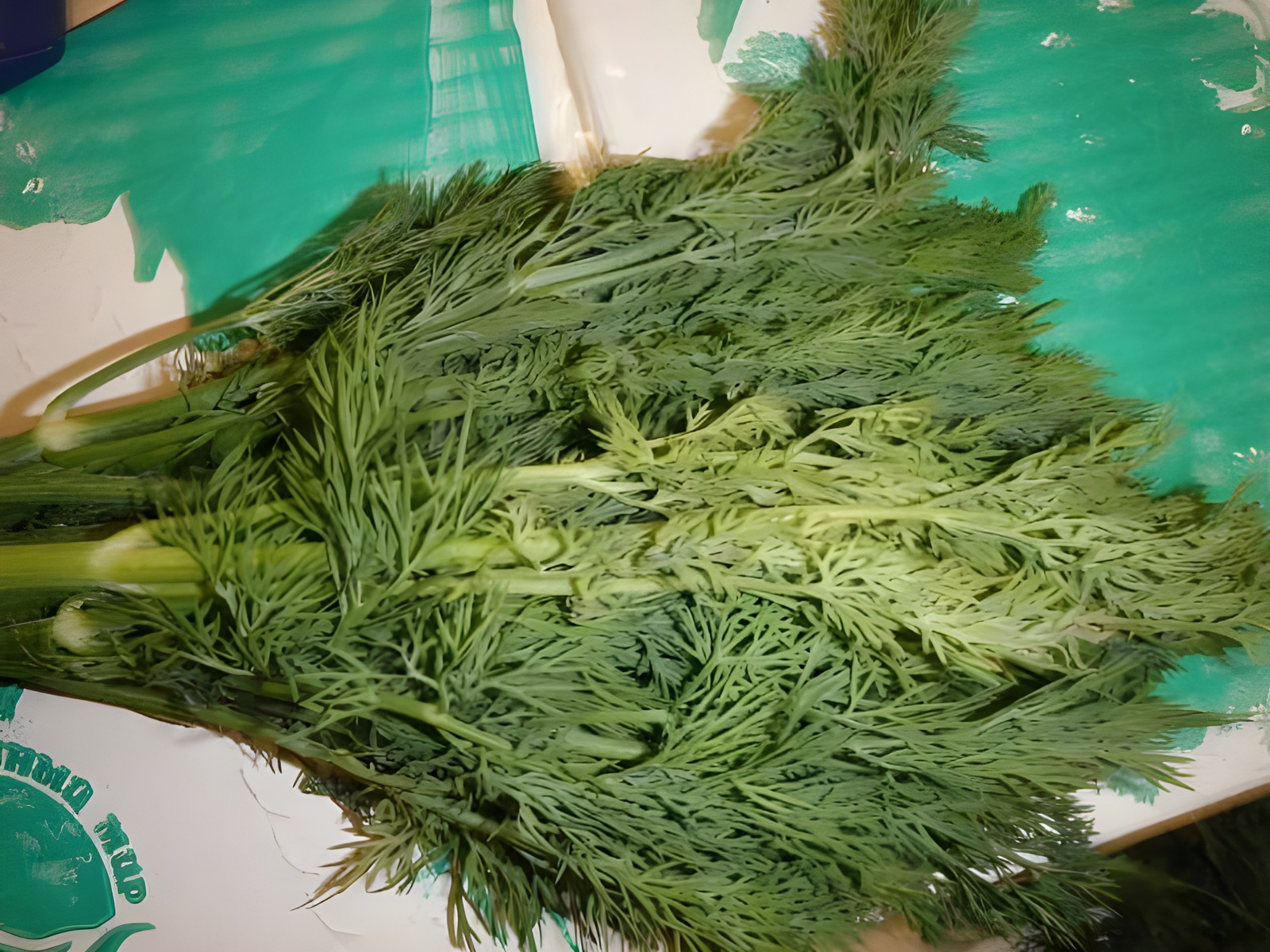 Укроп с пожелтением и потерей свежести