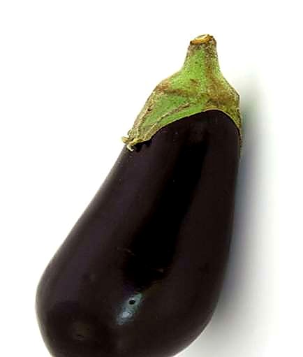 Как проверять качество баклажанов при приёмке - норма