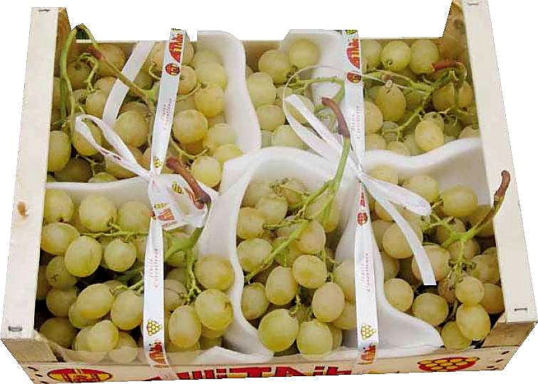 Как проверять качество винограда при приёмке — фасовка