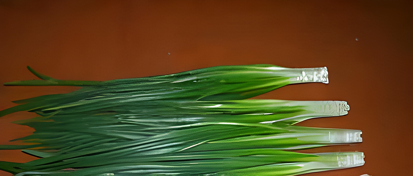 Зелёный лук нормального товарного качества