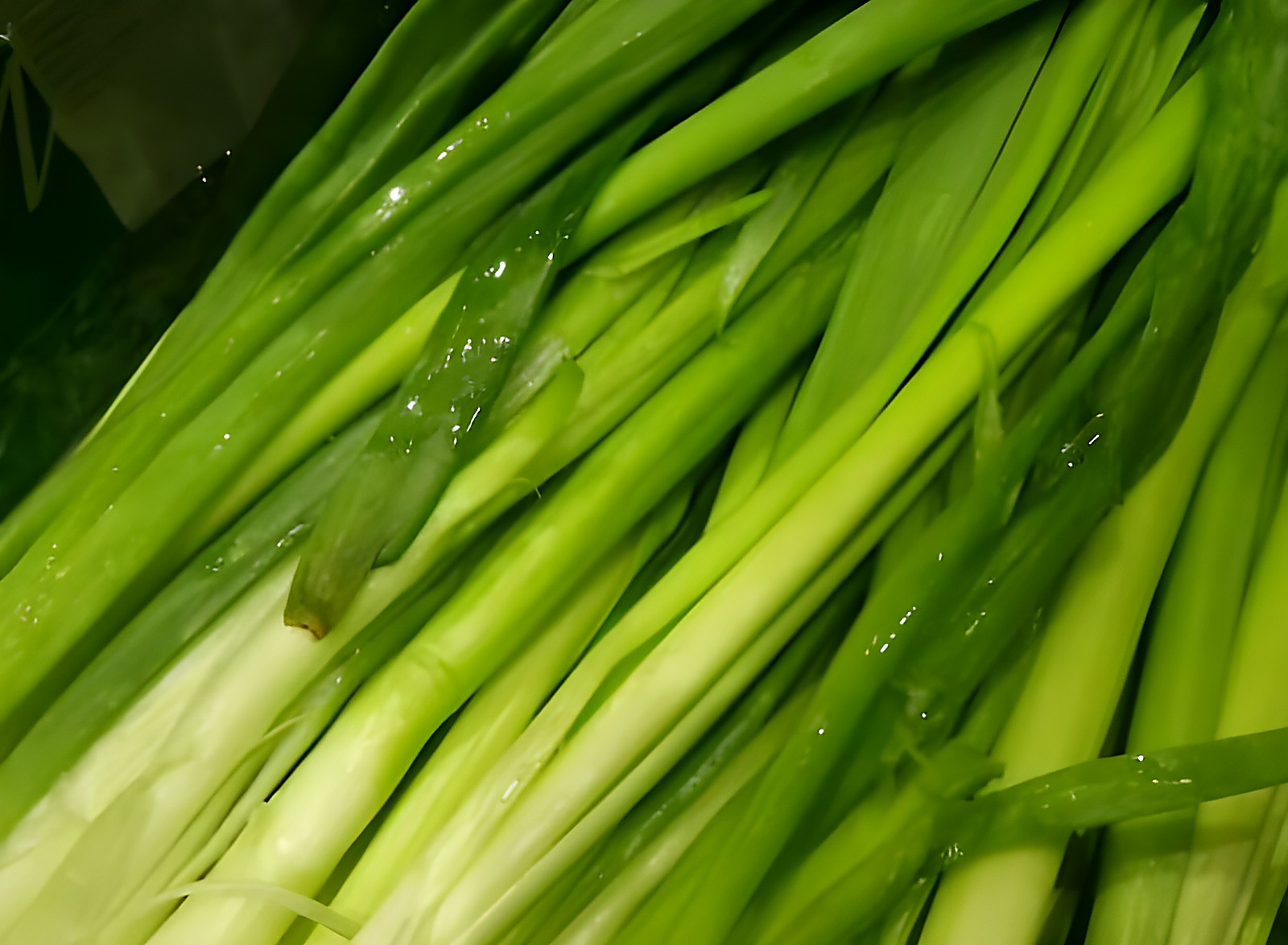 Зелёный лук с пожелтением кончиков и потерей свежести