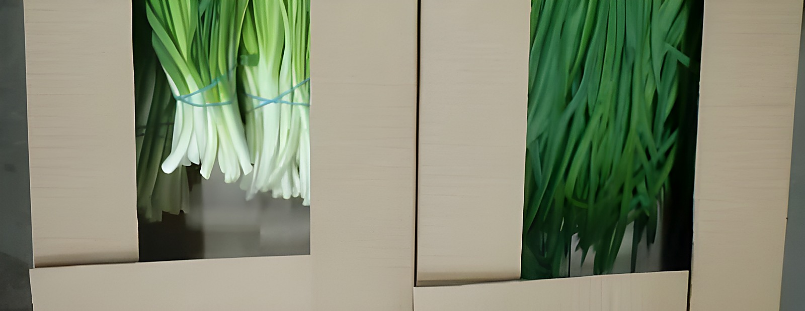 Зелёный лук с массовым пожелтением и подгниванием в коробе