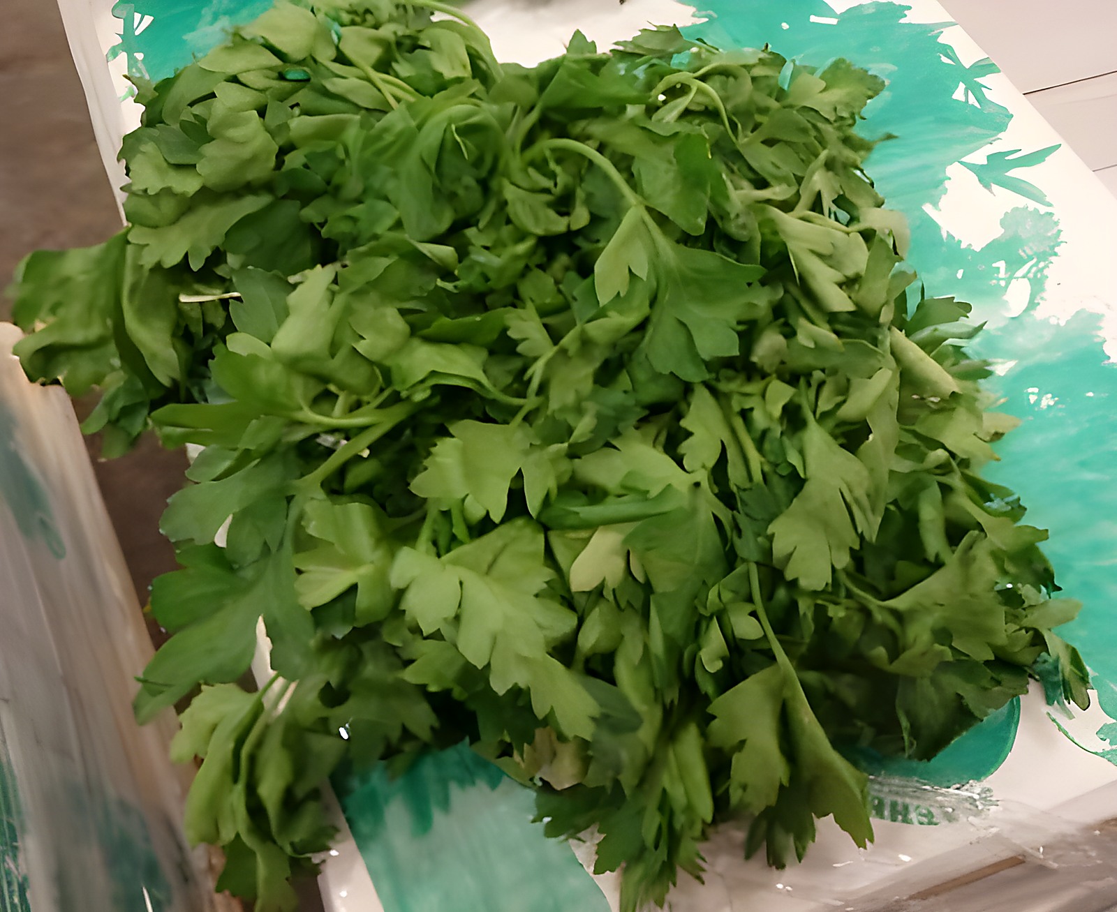 Петрушка со скрытым старением и ослаблением внутри пучка