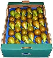 Как проверять качество груш при приёмке - тара