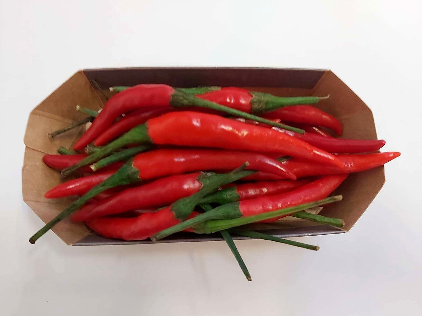 Как проверять качество перца при приёмке — ассортимент