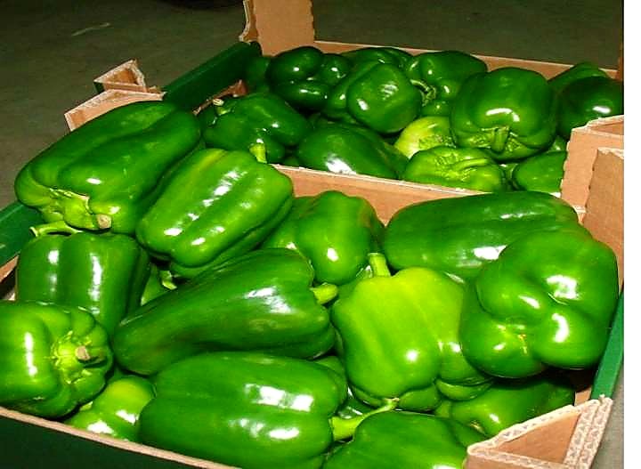 Как проверять качество перца при приёмке — партия