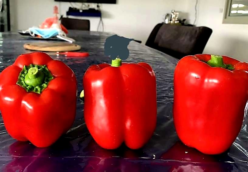 Как проверять качество перца при приёмке — норма