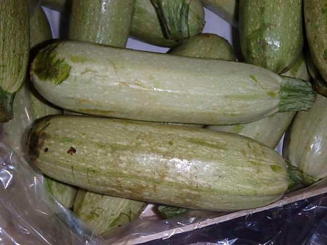 Как проверять качество кабачков при приёмке - увядание