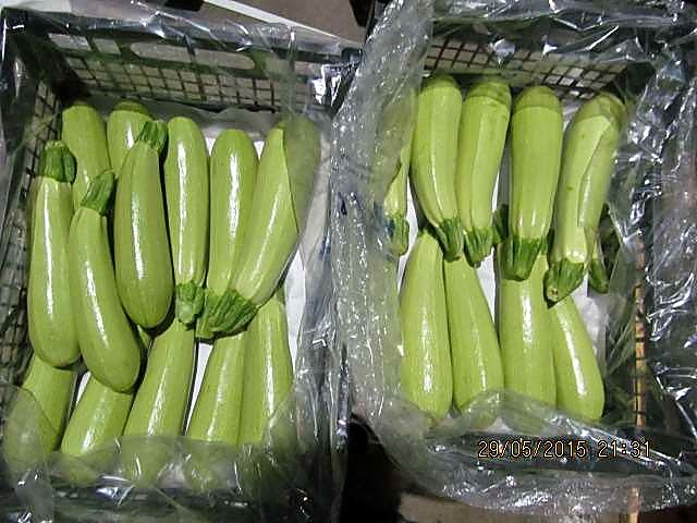 Как проверять качество кабачков при приёмке - партия