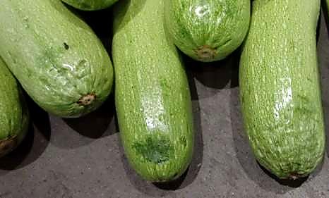 Как проверять качество кабачков при приёмке - плодоножка