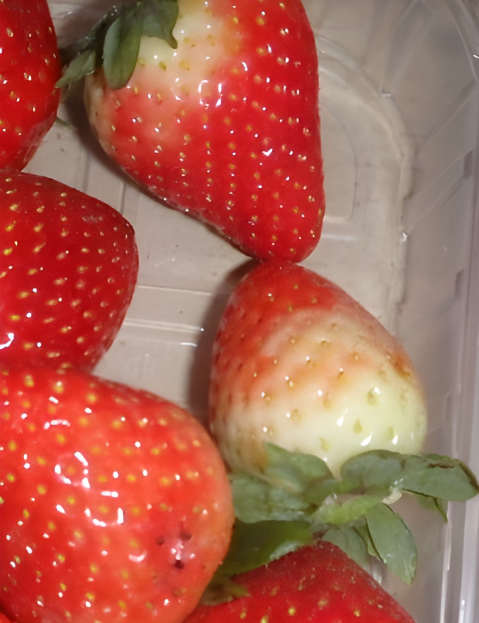 Клубника с небольшим допустимым белым плечом