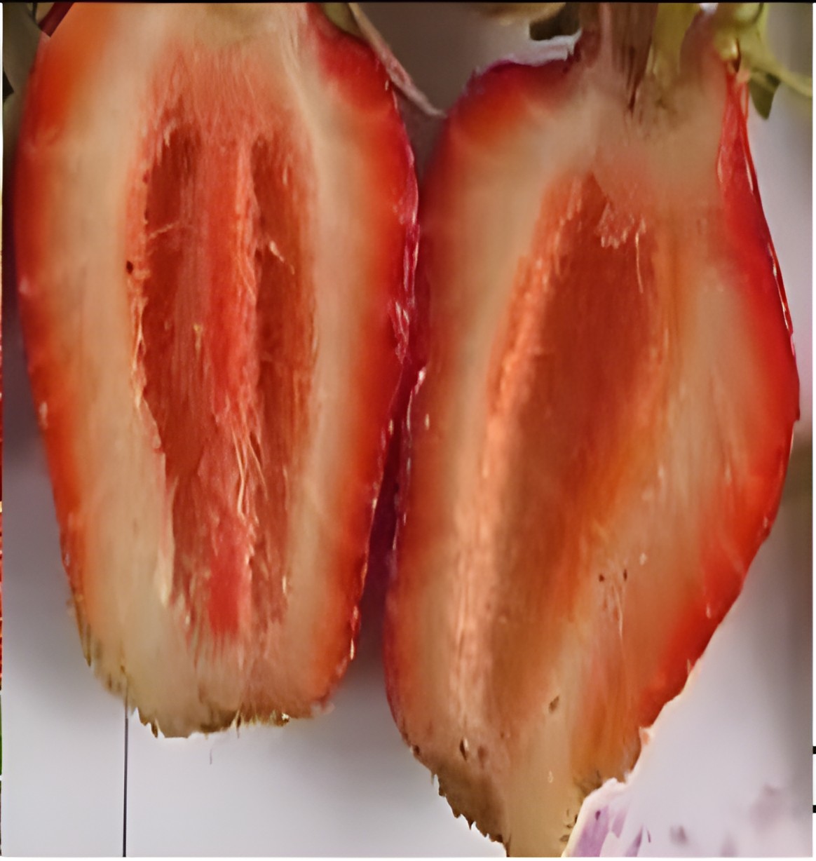 Клубника с внутренней пустотой на разрезе