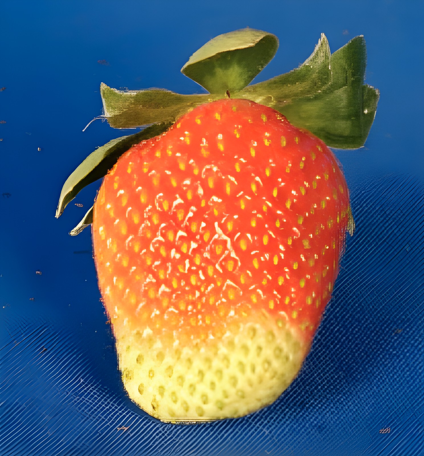 Клубника с выраженным белым пятном