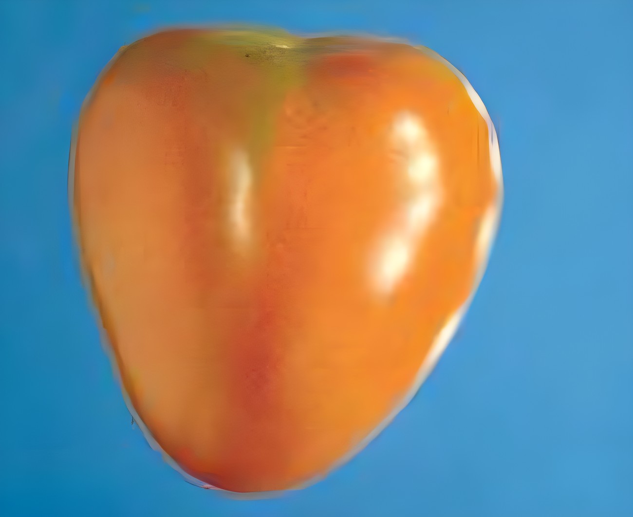 Допустимый дефект формы томата