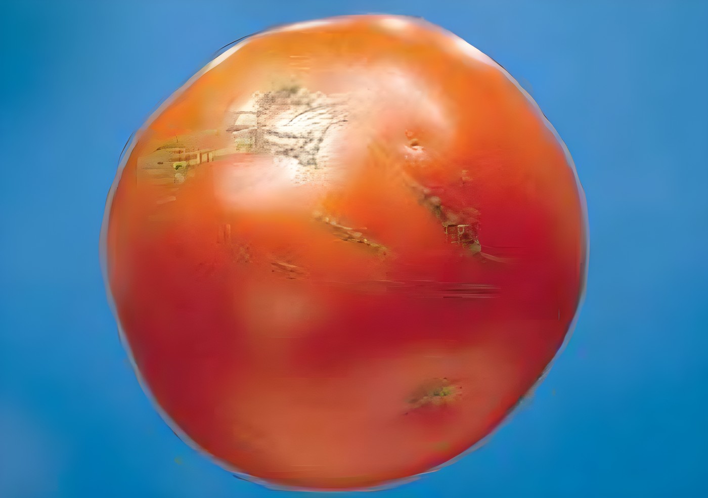 Допустимый дефект кожицы томата