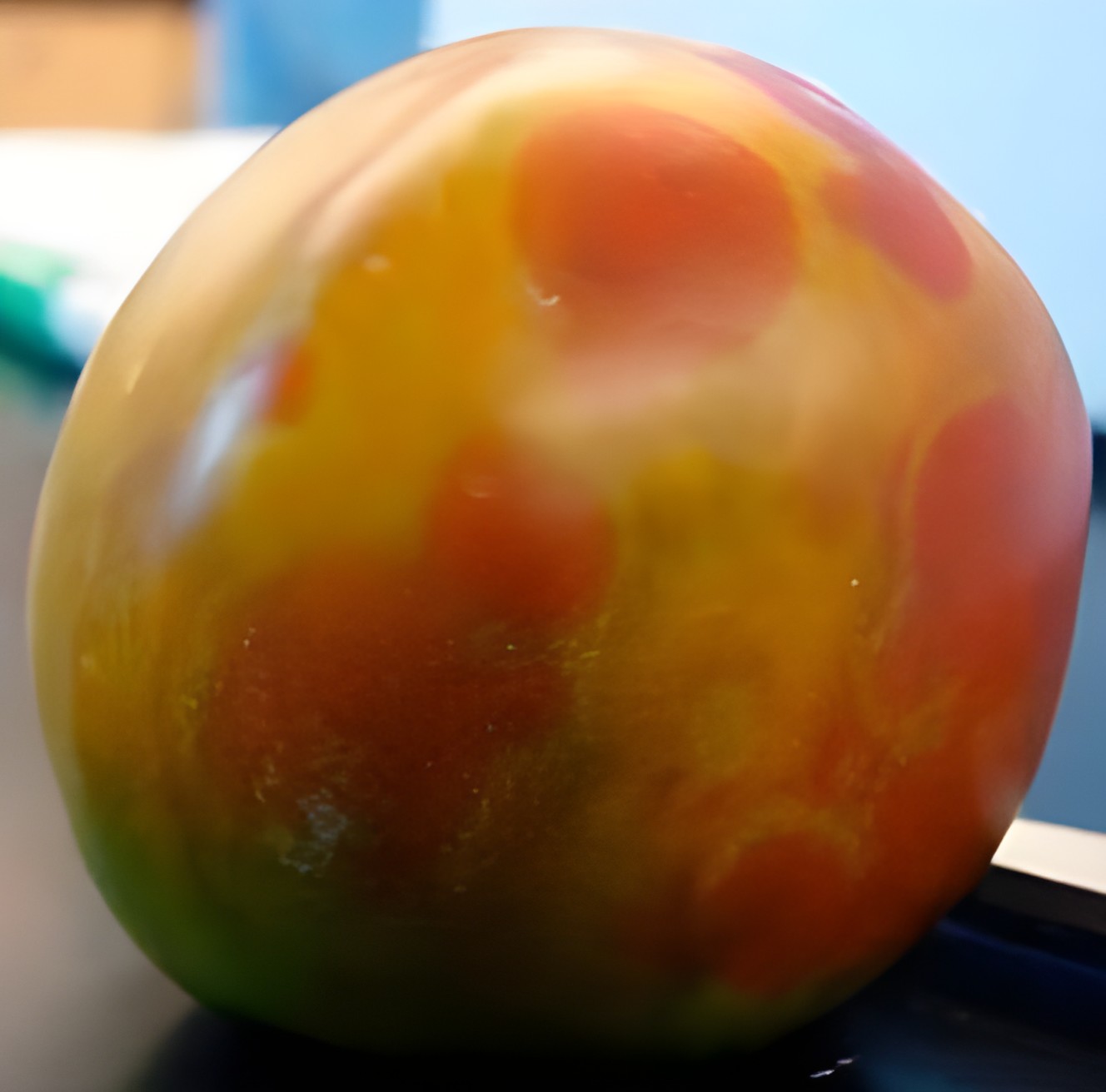 Томат с бронзовостью и дефектом окраски