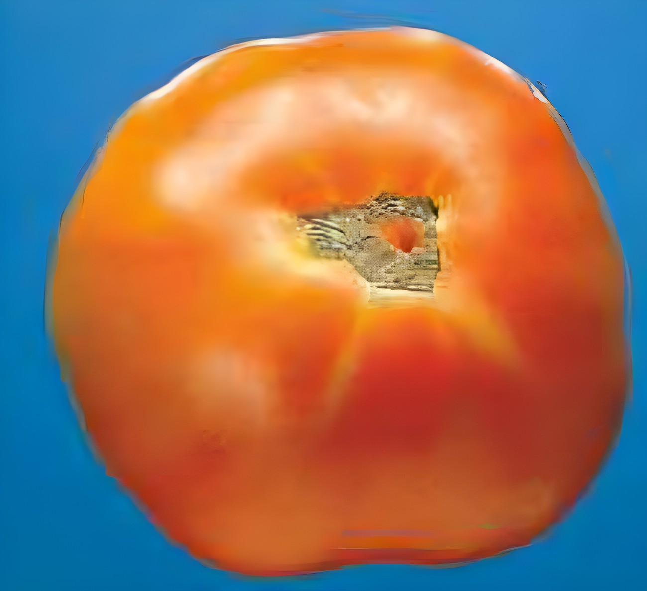 Томат с трещиной и дефектом поверхности