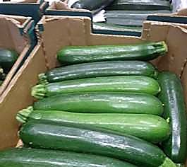 Как проверять качество цукини при приёмке - норма