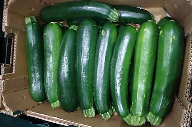 Как проверять качество цукини при приёмке - партия